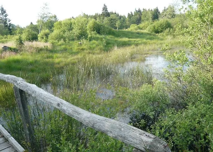 In Monschau With Swimming Pool Feriehus *