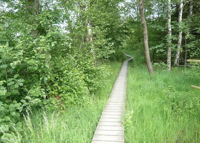 In Monschau With Swimming Pool Feriehus Monschau